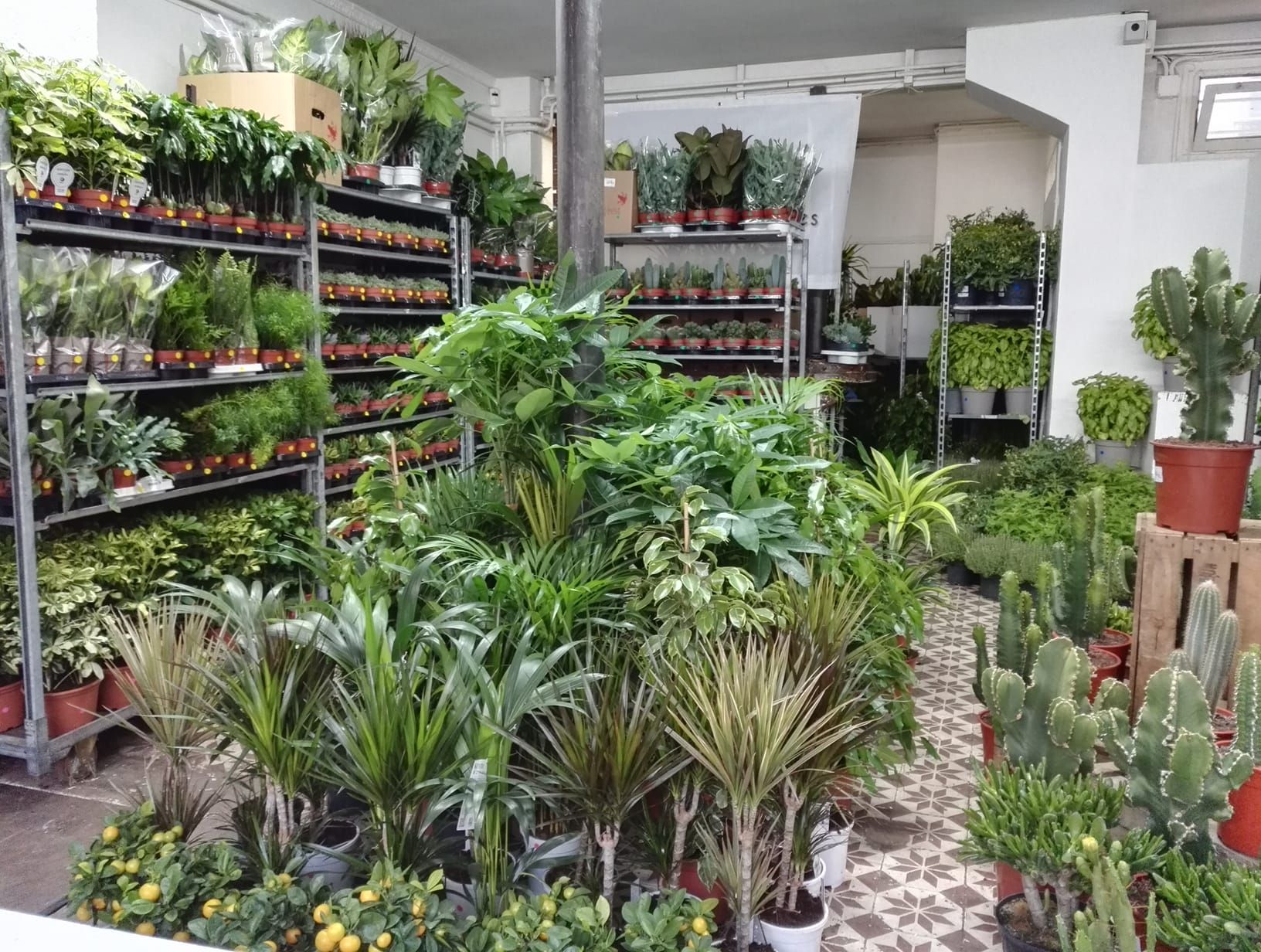 Le-gout-des-plantes-Angoulins.jpg