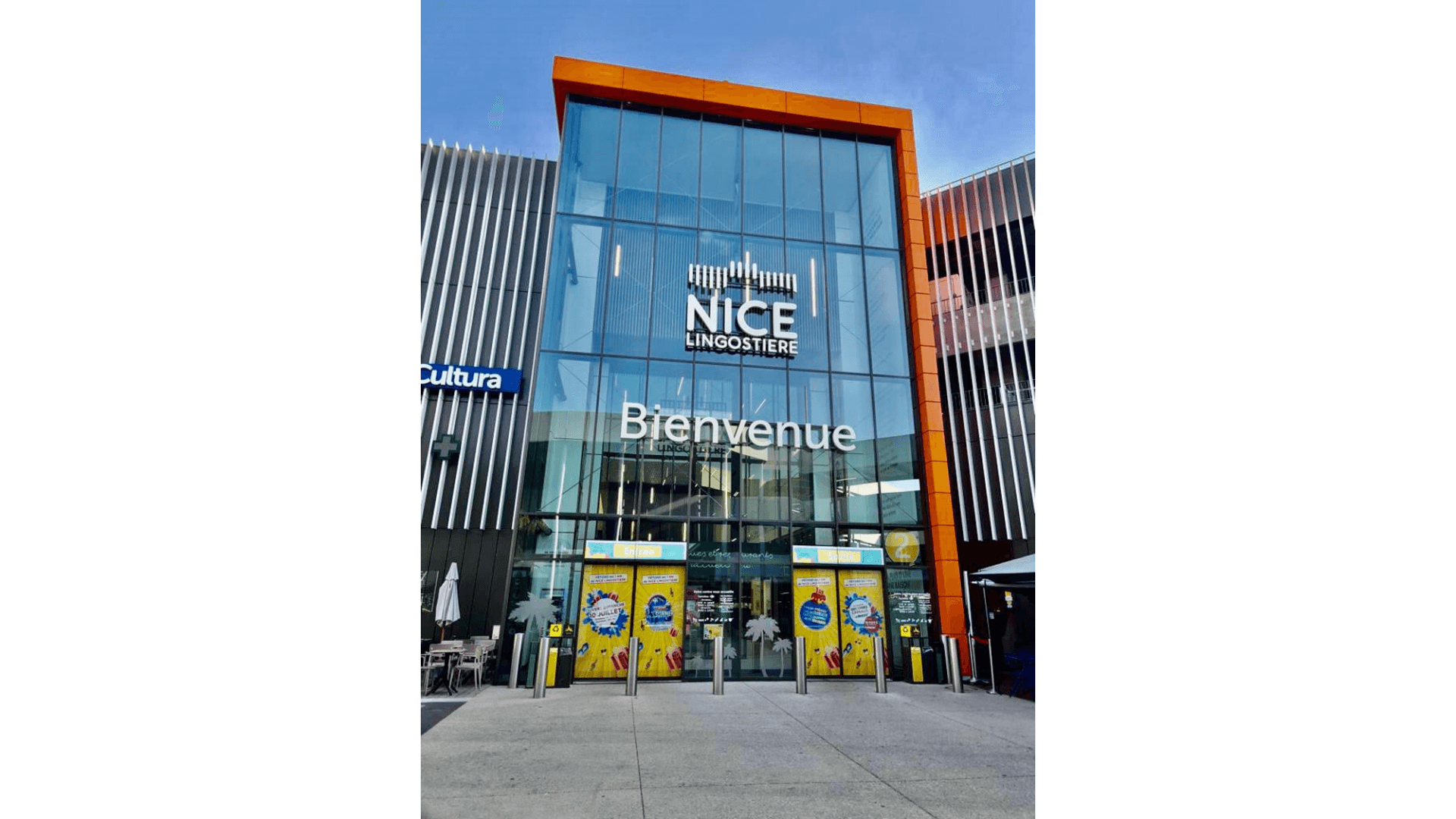 Nice-Lingostiere_1-an.png
