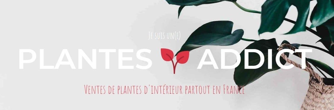 Plantes-addict.jpg